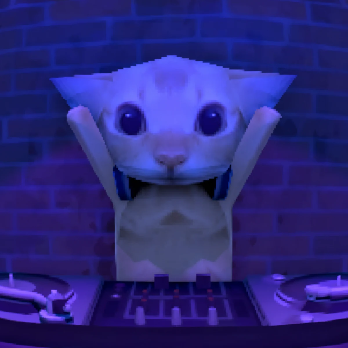 DJ Cat with both paws in the air